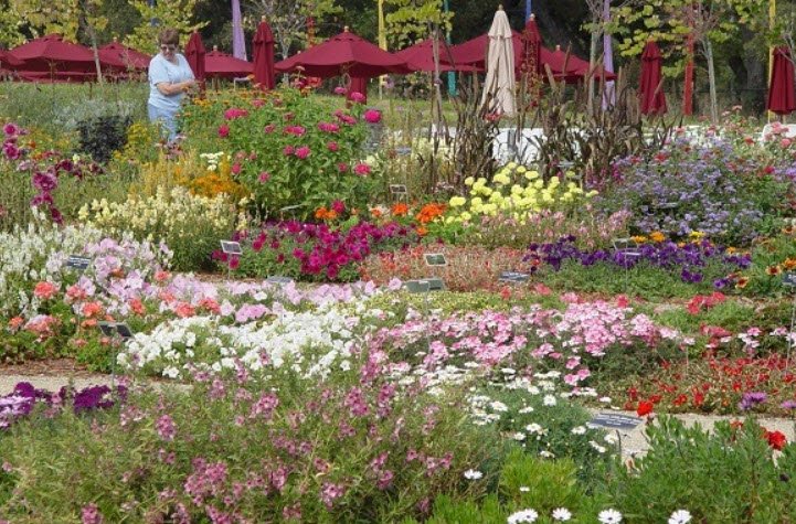 McConnell Arboretum and Gardens, United States